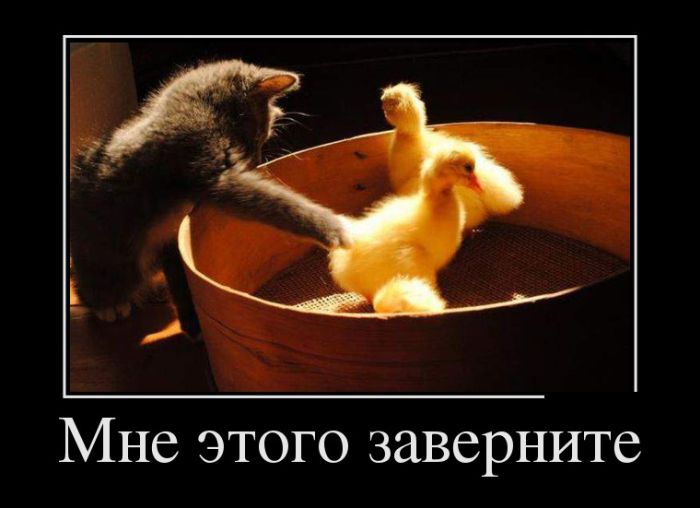 Демотиваторы на выходные.