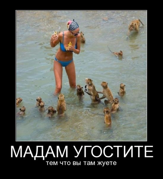 Демотиваторы, Класная подборка новых (22 фото)