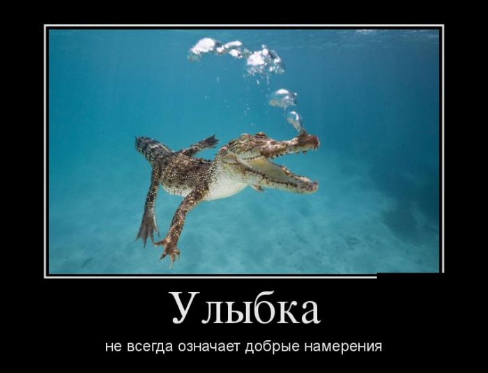 Классная подборка новых демотиваторов.