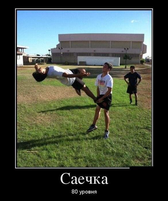 Демы с юмором новые.