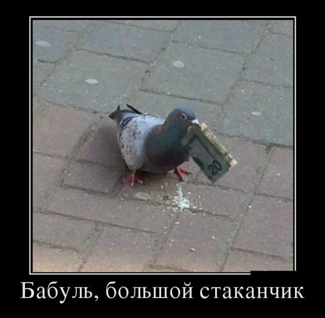 Демотиваторые новье.