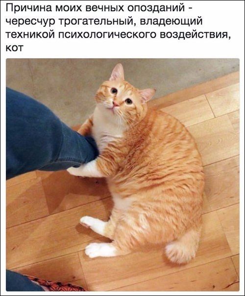 Прикольные картинки (30 штук)