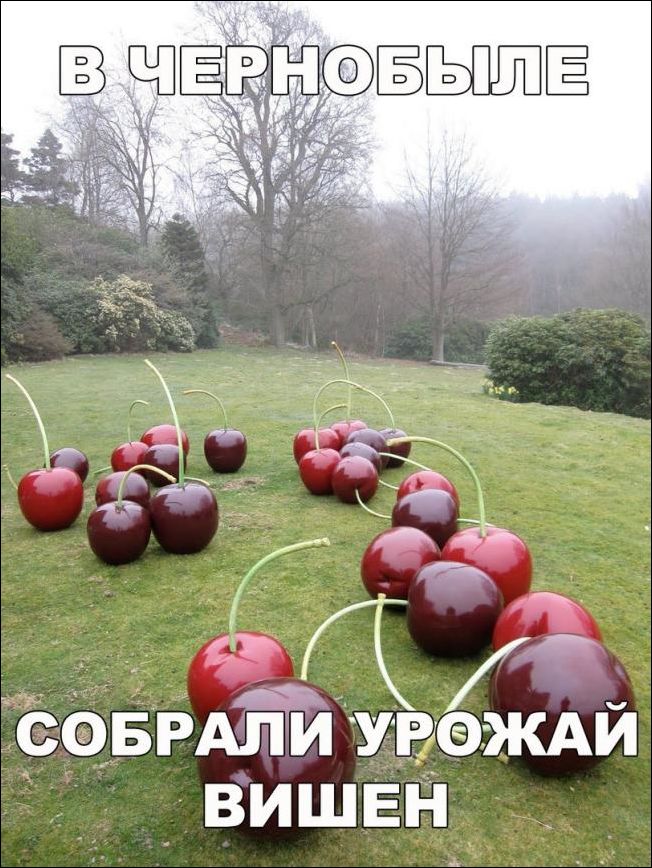 Подборка приколов, позитивная жизнь.