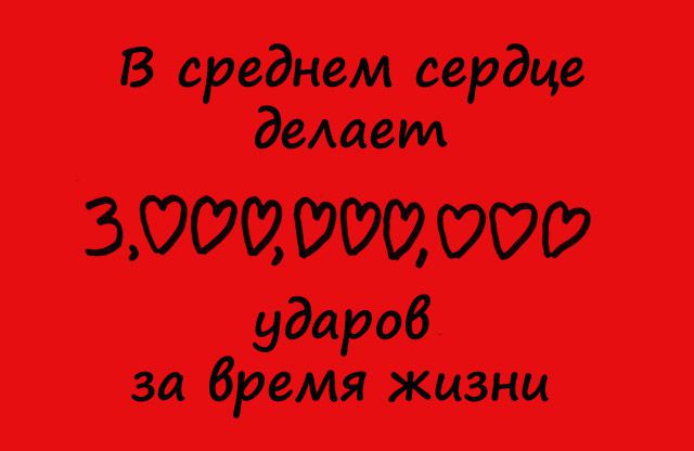 Интересные Факты.