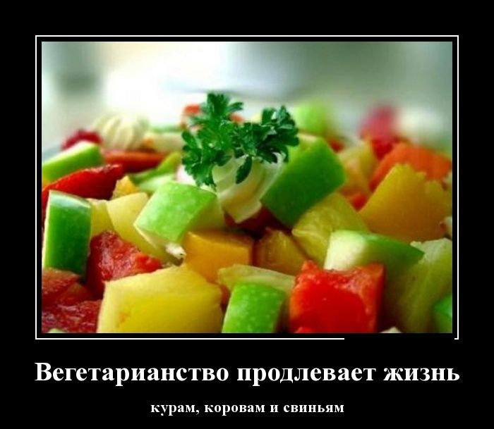 Ударим демотиватором по понедельнику