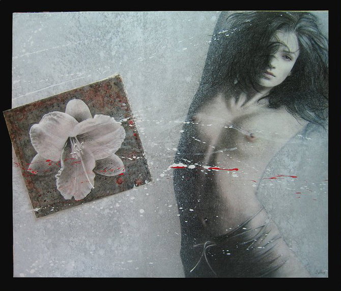 Художник Gianni Bellini +18