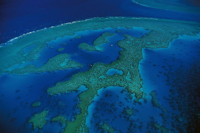 Мастер ви Yann Arthus-Bertrand