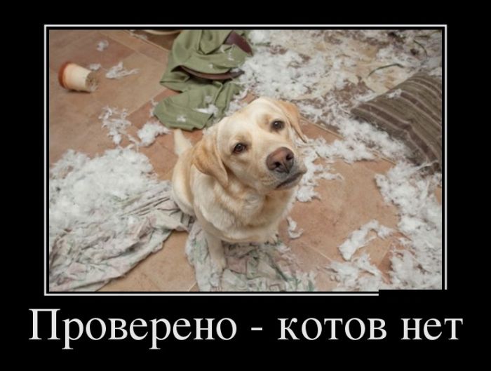 Демотиваторы с прикольным смыслом.