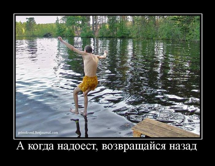 Новые и прикольные демотиваторы.