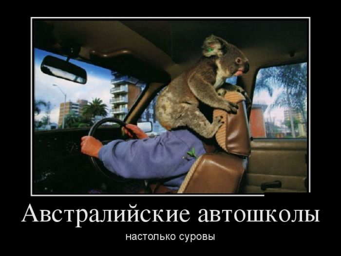 Демотиваторы, подборка новых и прикольных черных рамок.