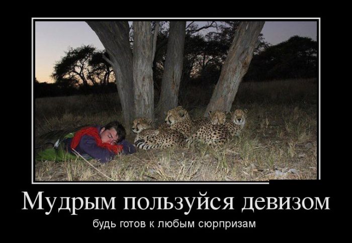 Демотиваторы приколись с новых.