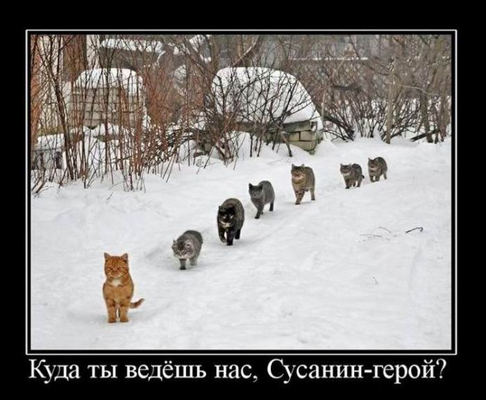 Классные демотиваторы.