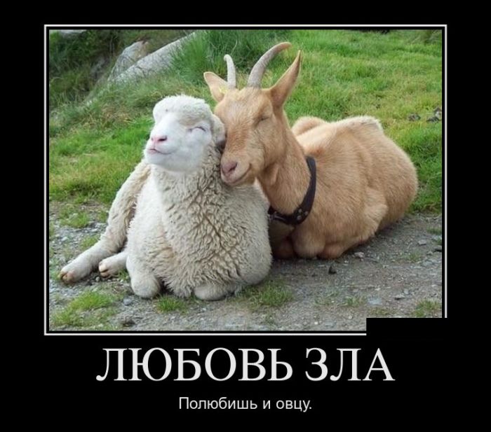 Демотиваторы смотреть нужно только новые.