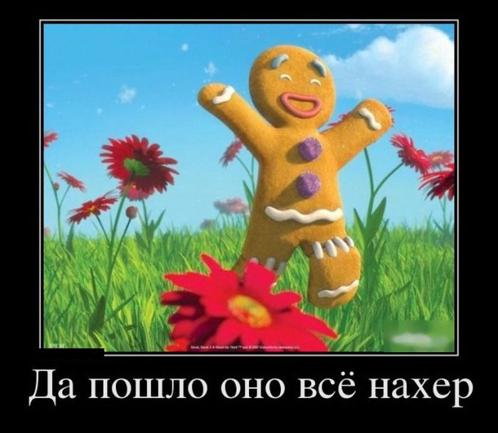 Демотиваторы прикольные, позитив дня.
