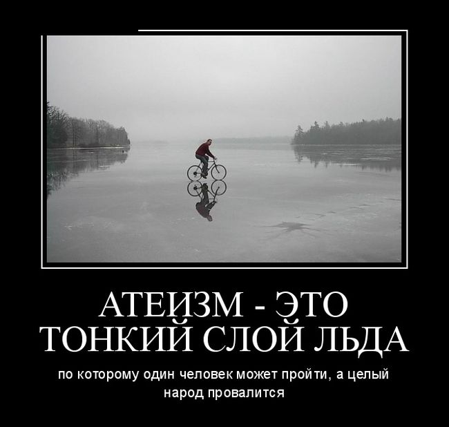 Новые демотиваторы, приколы в цитатах и фотках.