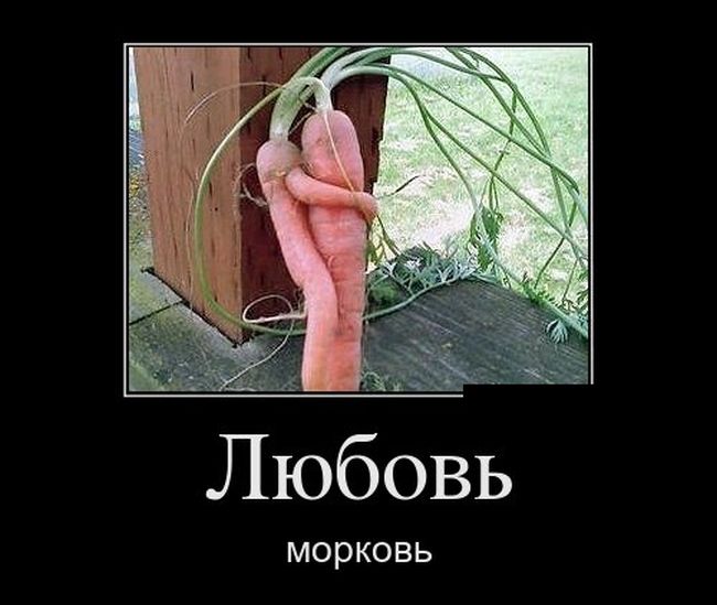 Демотиваторы с приколами, новые за день.