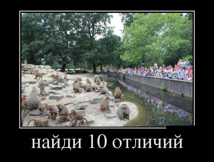 За день накопилось так много прикольных демотиваторов.