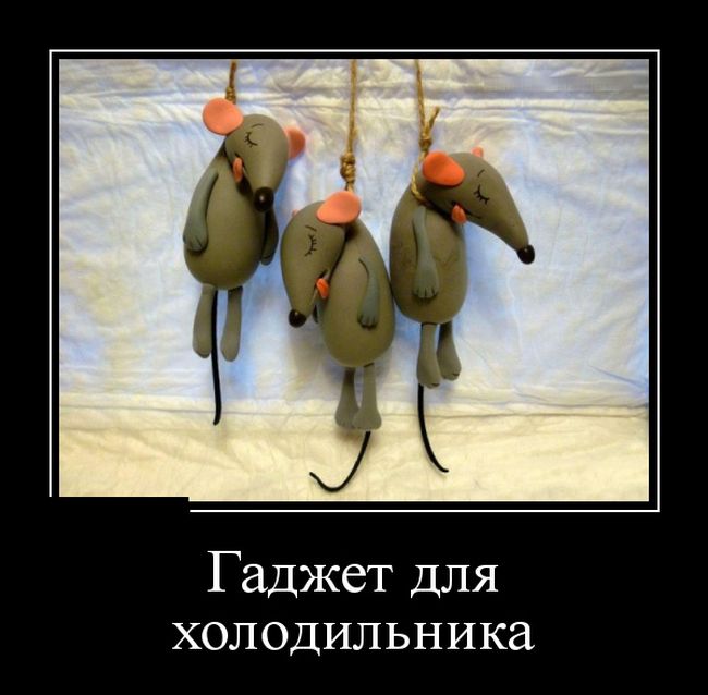 Приколы в демотиваторах для вас!