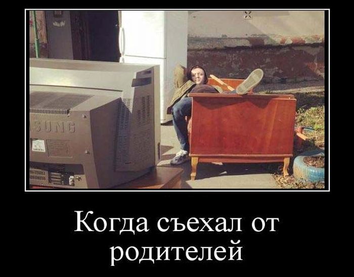Демотиваторы это классные картинки и фразы.