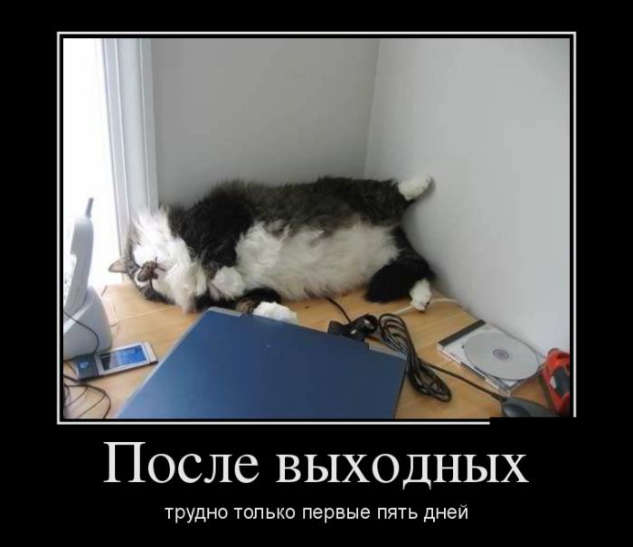 Супер демотиваторы, картинки и прикольный текст.