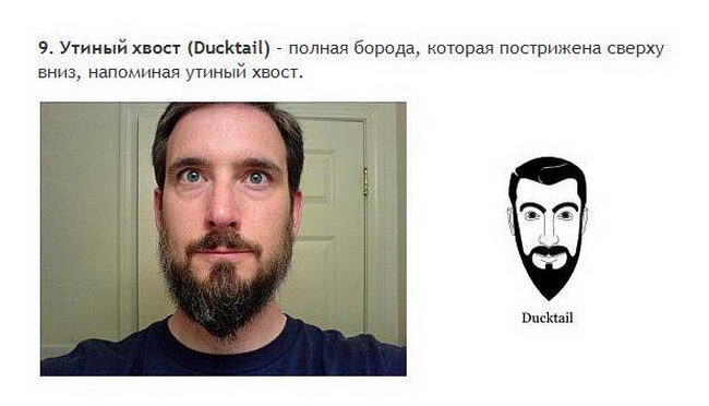 Борода и усы все разновидности