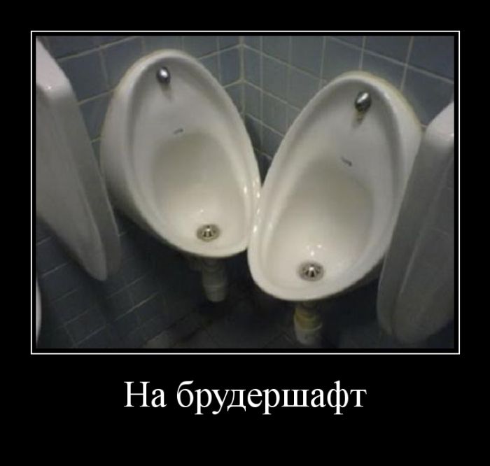 Демотиваторы поднимут любое настроение.
