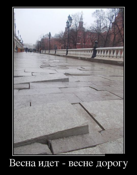Демотиваторы, прикольные фотки и новые фразы.