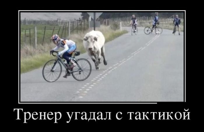 Новые демотиваторы и так поехали...