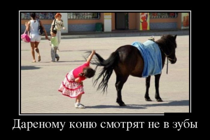 Демотиваторы, это прикольно не лишай себя удовольствия.
