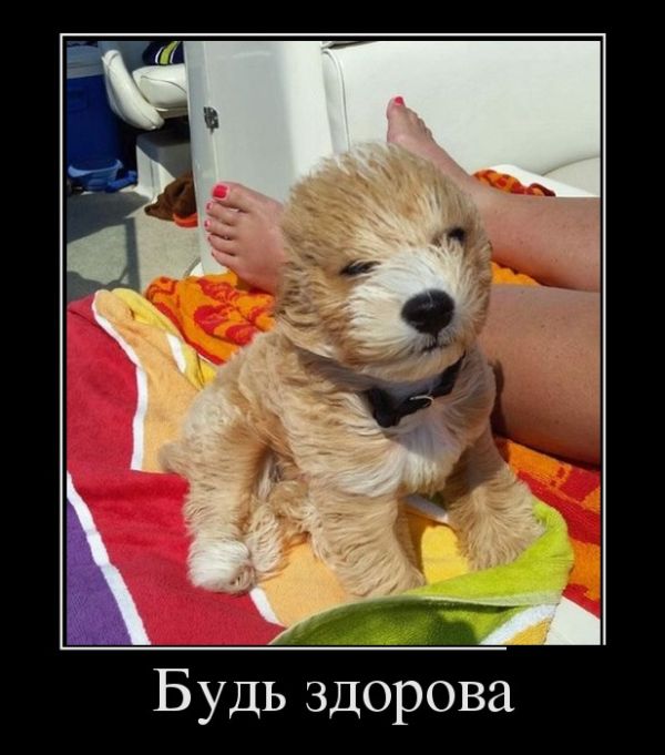 Новые демотиваторы смешные и со смыслом.