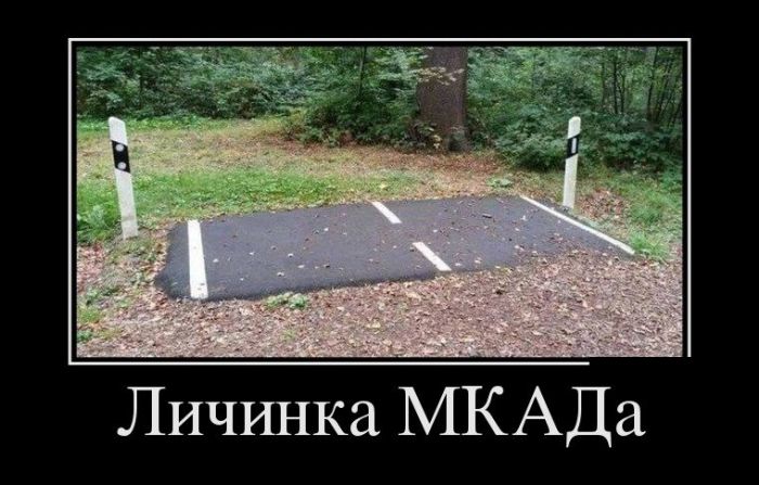 Демотиваторы на любой вкус