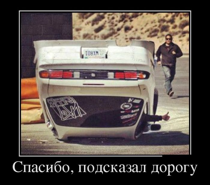 Новые приколы в демотиваторах, фразы и картинки.