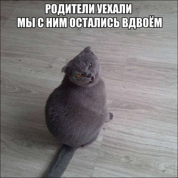 За фото приколы и здоровый образ жизни!