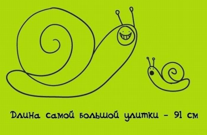 Интересные Факты, тема продолжается.