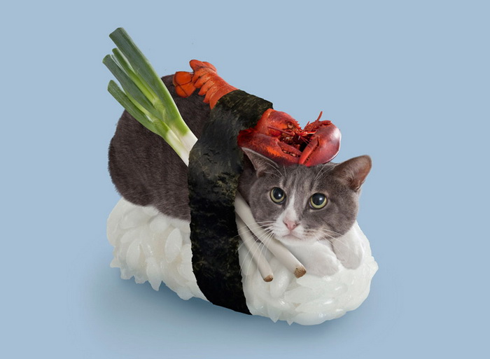 Котосуши
