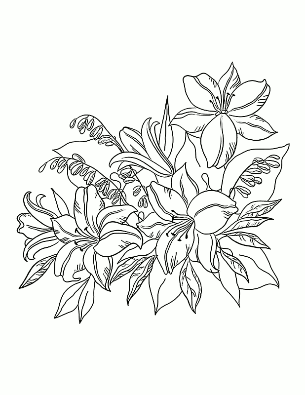 Картинки для срисовки "цветы"