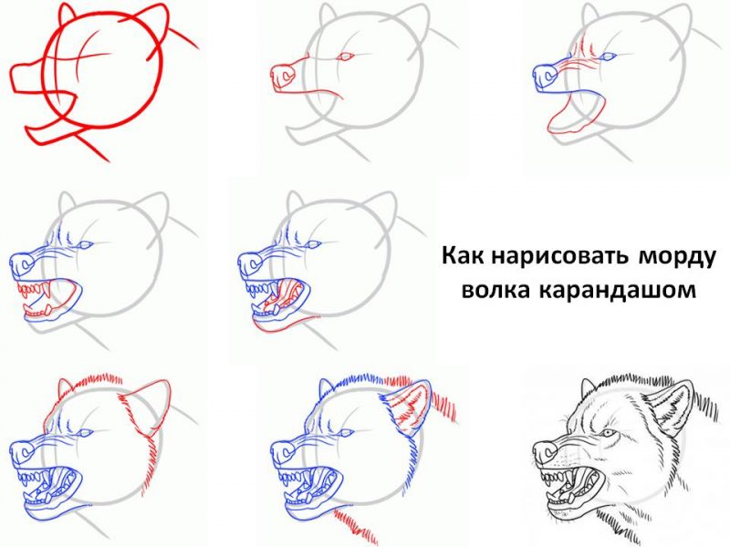 Картинки для срисовки сложные