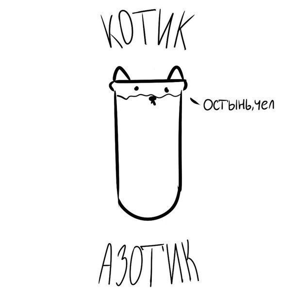 Картинки для срисовки "котики"