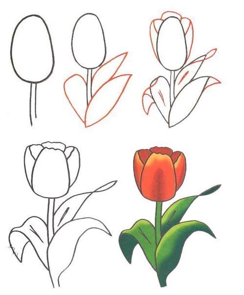 Картинки для срисовки "цветы"