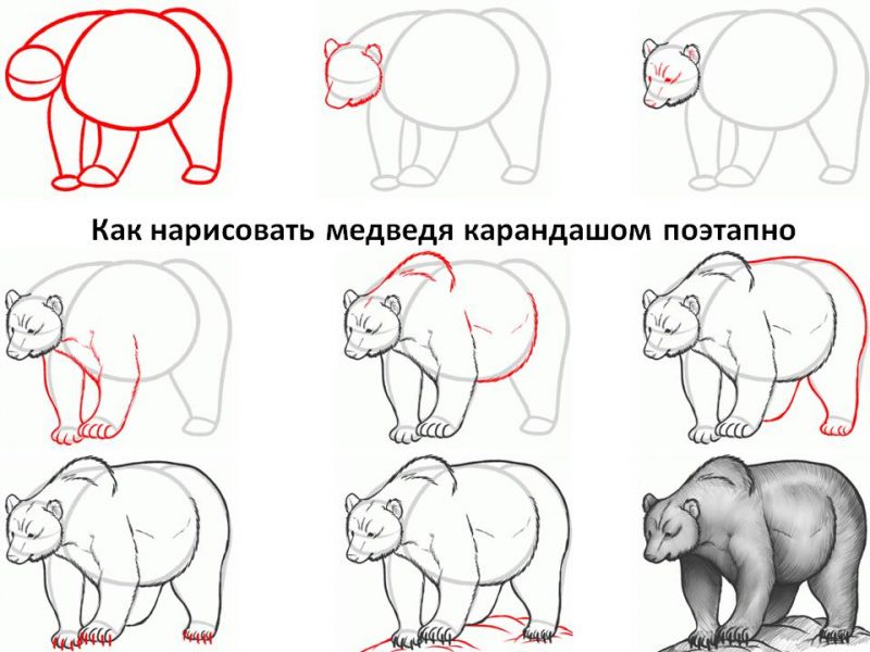 Картинки карандашом для срисовки: легкие красивые