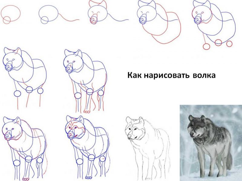 Картинки карандашом для срисовки: легкие красивые
