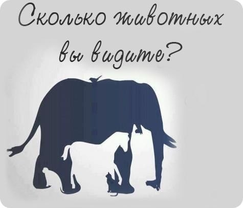 Загадка — сколько животных на картинке животных, Загадка, поэтому, «сколько, несколько, first, appeared, картинке, сколько, картинокThe, подборку, предлагаем, занимательный, интересный, довольной, развлечения, Данный, минут, отыскивать, картинке»