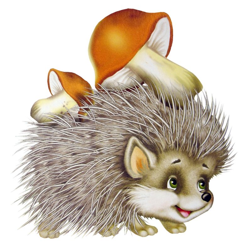 Картинки с дикими животными