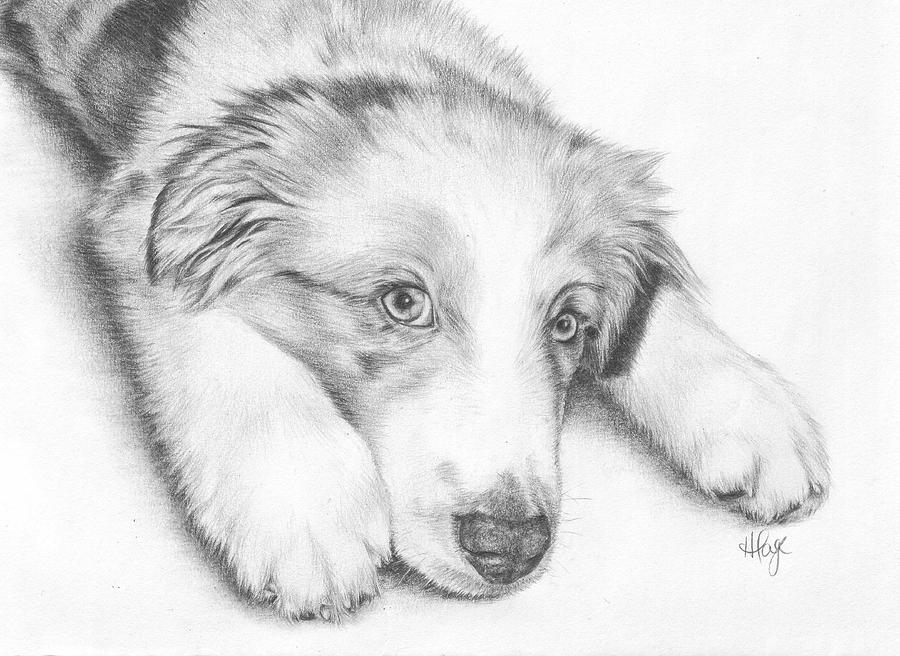 Нарисовать животных простым карандашом. Животные карандашом. Картинки животных карандашом. Собака рисунок карандашом. Щенок рисунок карандашом.