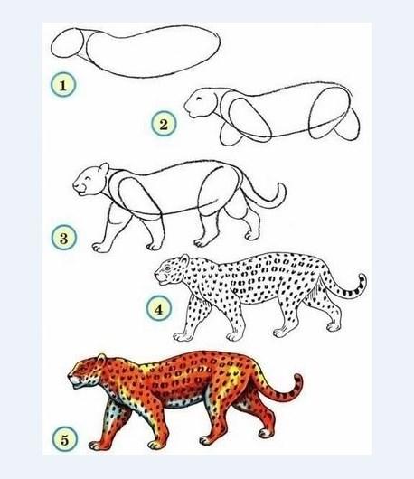 Картинки животных, нарисованных карандашом