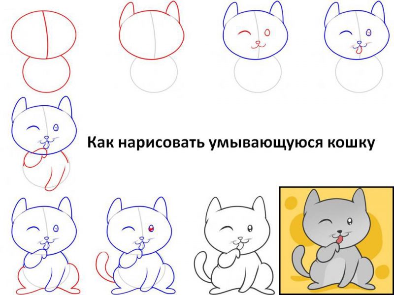 Как рисовать животных поэтапно