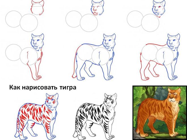 Картинки животных для срисовки