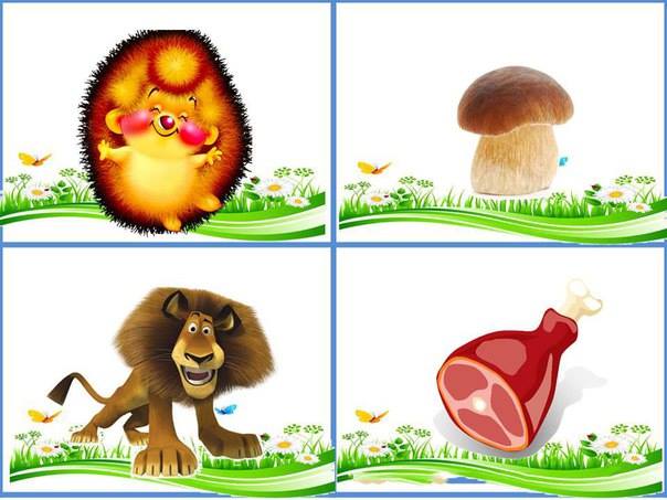 Картинки животных "кто что ест"