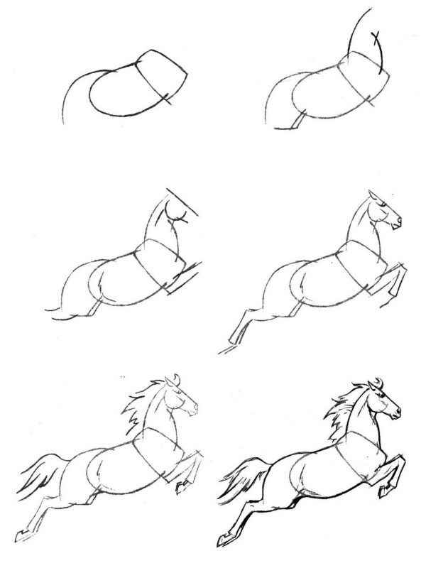 Как рисовать животных поэтапно