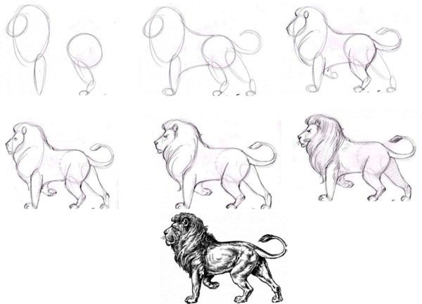 Как рисовать животных поэтапно